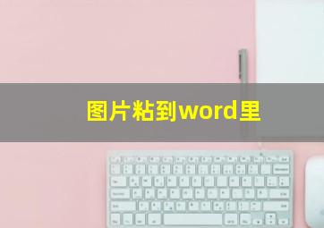 图片粘到word里