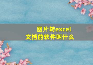 图片转excel文档的软件叫什么