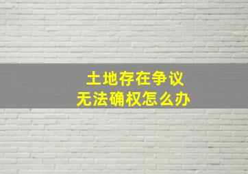 土地存在争议无法确权怎么办