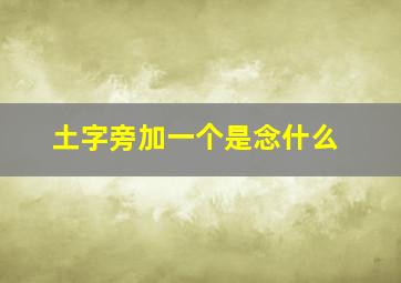 土字旁加一个是念什么