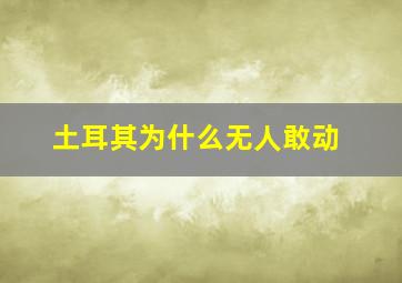 土耳其为什么无人敢动