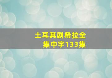 土耳其剧希拉全集中字133集