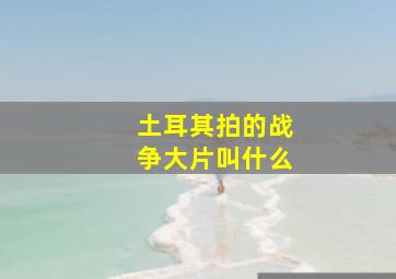 土耳其拍的战争大片叫什么