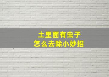 土里面有虫子怎么去除小妙招