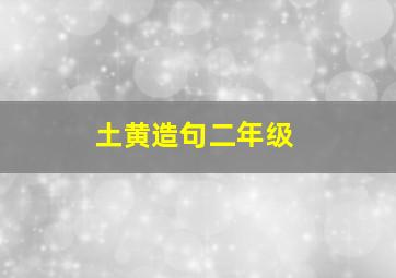 土黄造句二年级