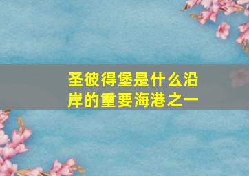 圣彼得堡是什么沿岸的重要海港之一