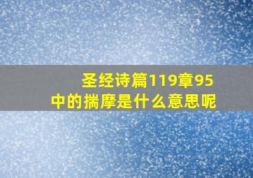 圣经诗篇119章95中的揣摩是什么意思呢