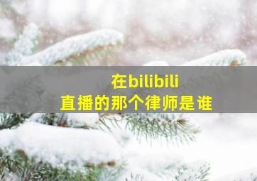 在bilibili直播的那个律师是谁