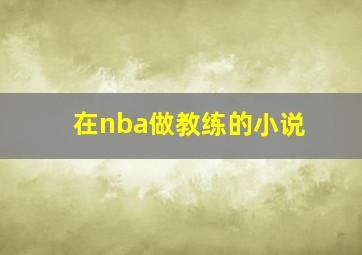 在nba做教练的小说