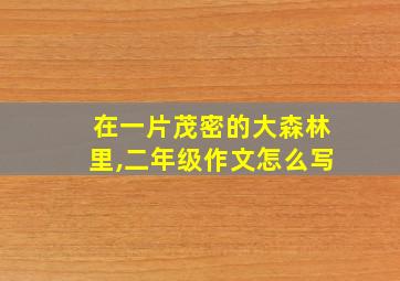 在一片茂密的大森林里,二年级作文怎么写