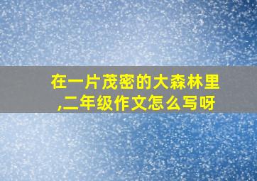 在一片茂密的大森林里,二年级作文怎么写呀