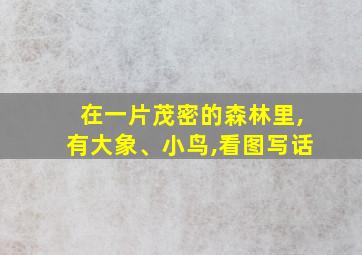 在一片茂密的森林里,有大象、小鸟,看图写话