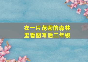 在一片茂密的森林里看图写话三年级