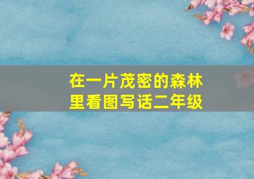 在一片茂密的森林里看图写话二年级