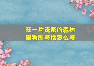 在一片茂密的森林里看图写话怎么写