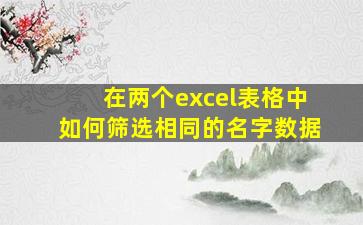 在两个excel表格中如何筛选相同的名字数据