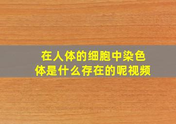 在人体的细胞中染色体是什么存在的呢视频