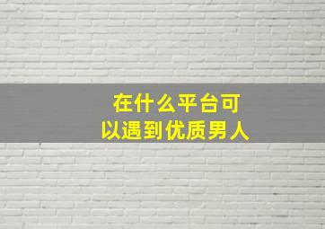 在什么平台可以遇到优质男人