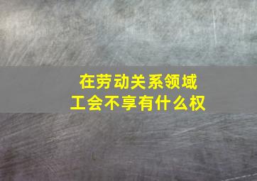 在劳动关系领域工会不享有什么权