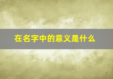 在名字中的意义是什么