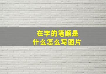 在字的笔顺是什么怎么写图片