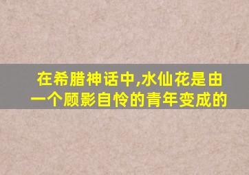 在希腊神话中,水仙花是由一个顾影自怜的青年变成的