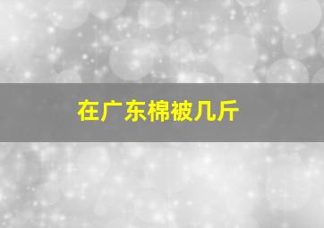 在广东棉被几斤