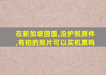 在新加坡回国,没护照原件,有拍的照片可以买机票吗