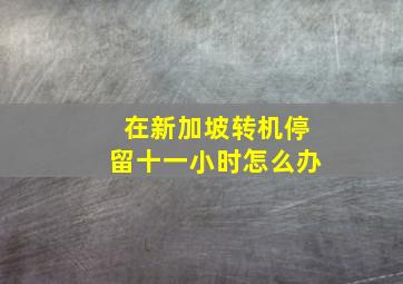 在新加坡转机停留十一小时怎么办