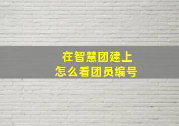 在智慧团建上怎么看团员编号