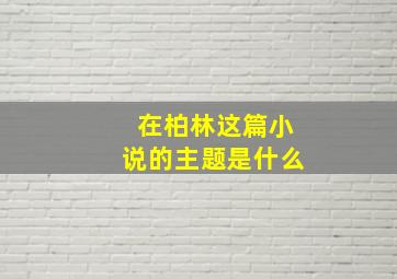 在柏林这篇小说的主题是什么