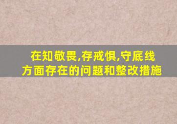 在知敬畏,存戒惧,守底线方面存在的问题和整改措施