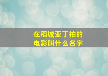 在稻城亚丁拍的电影叫什么名字