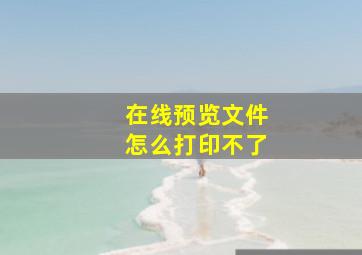 在线预览文件怎么打印不了