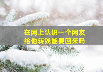 在网上认识一个网友给他转钱能要回来吗