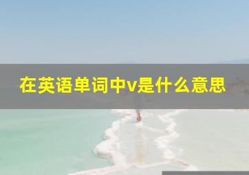 在英语单词中v是什么意思