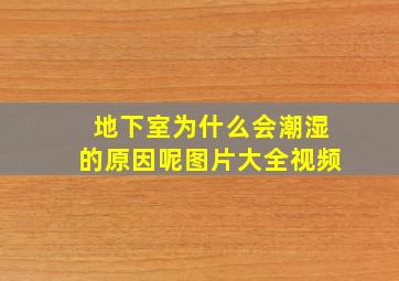 地下室为什么会潮湿的原因呢图片大全视频