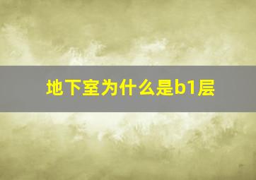 地下室为什么是b1层