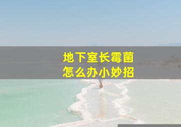 地下室长霉菌怎么办小妙招