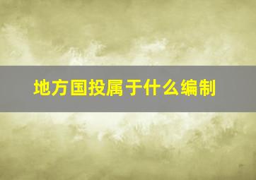 地方国投属于什么编制