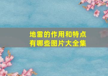 地雷的作用和特点有哪些图片大全集