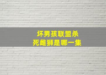 坏男孩联盟杀死雌狮是哪一集