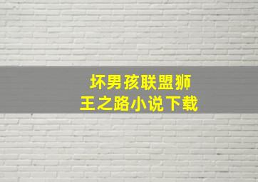 坏男孩联盟狮王之路小说下载