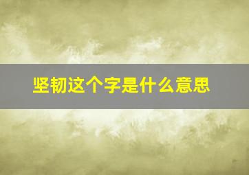 坚韧这个字是什么意思