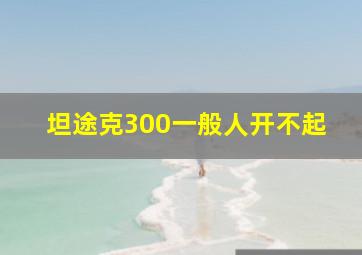 坦途克300一般人开不起