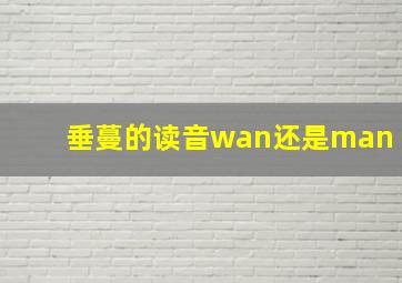 垂蔓的读音wan还是man