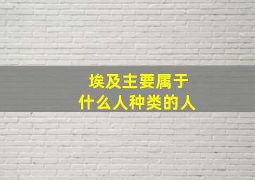 埃及主要属于什么人种类的人