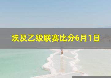 埃及乙级联赛比分6月1日