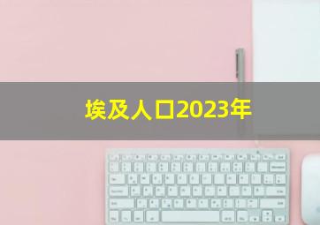 埃及人口2023年