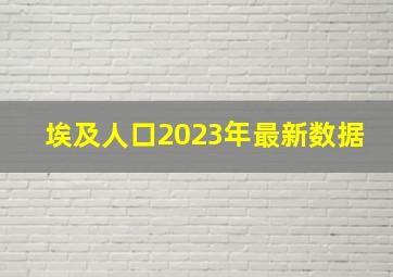 埃及人口2023年最新数据